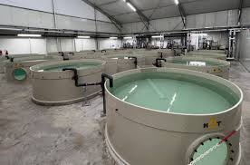 Aquaculture Tank
